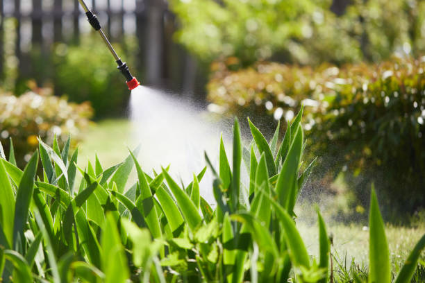 Tamper-Resistant Bait Stations for Rodents in Bainbridge